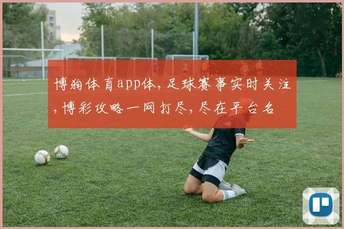博狗体育app体,足球赛事实时关注,博彩攻略一网打尽,尽在平台名